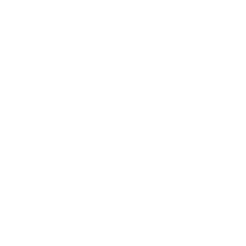NueCog